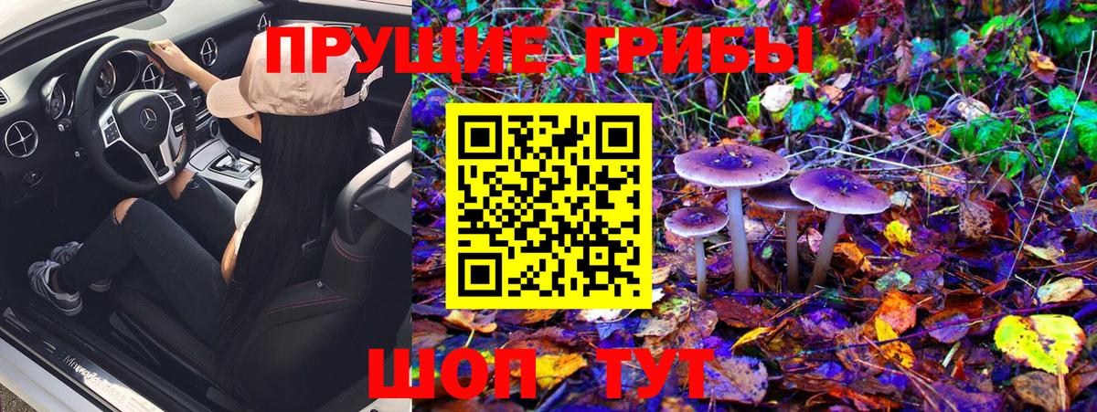 Соликамск  Псилоцибиновые грибы Psilocybe  закладки  Вход с VPN 